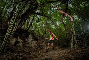 BIB: 
                            <button type="button" onclick="openModal(22177797)" class="btn btn-primary btn-sm float-right btn-popup" data-toggle="modal" data-target=".modal-high-quality">
                        <i class="fas fa-shopping-cart"></i> Add to Cart
                    </button>
                                            <button type="button" onclick="isThisMe(22177797, true)" class="btn btn-success btn-sm float-right btn-popup btn-isme hidden" data-toggle="tooltip" data-placement="bottom" title="นี่คือรูปของคุณใช่ไหม คลิกที่นี่เพื่อเอาเข้าอัลบั้ม">
                        <i class="fas fa-plus"></i> Add to album
                    </button>
                    <button type="button" onclick="isThisMe(22177797, false)" class="btn btn-warning btn-sm float-right btn-popup btn-isnotme hidden">
                        <i class="fas fa-ban"></i> Remove from album
                    </button>